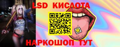 гидропоника Обнинск