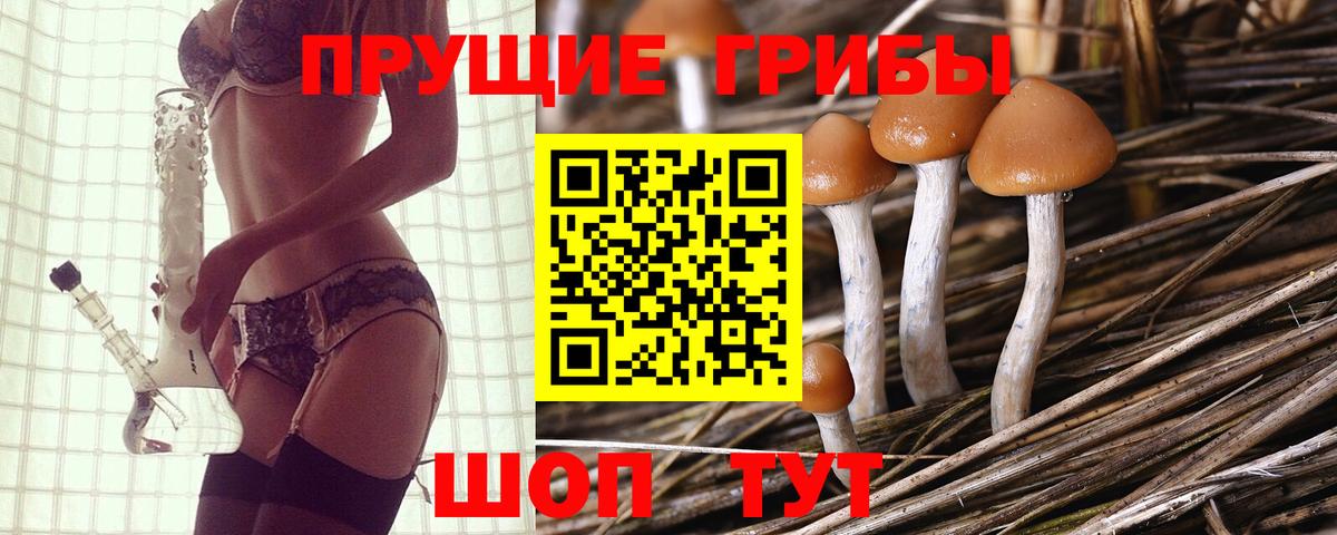 Галлюциногенные грибы ЛСД Сочи